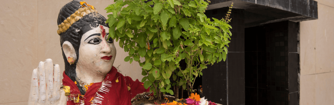 Tulsi Mata Aarti | तुलसी माता की आरती | Aarti Tulsi Mata Ji Ki, Lyrics in Hindi