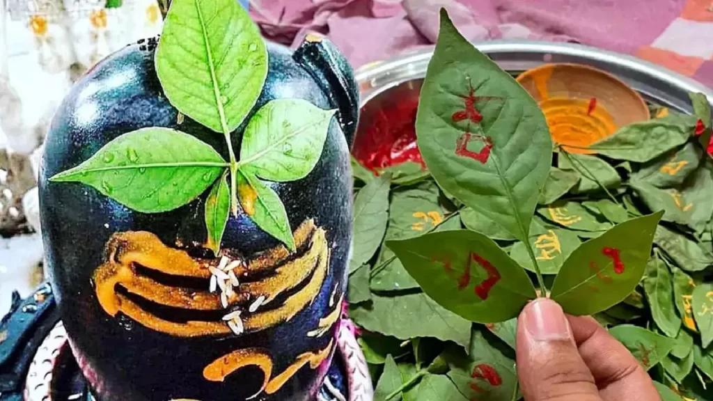 Divine Offerings to Baba Chandaneswar Shiva 🙏 – Granting Desires & Serenity Divine Offerings to Baba Chandaneswar Shiva 🙏 – Granting Desires & Serenity